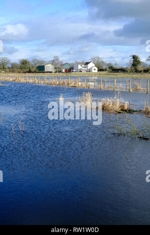 Überschwemmte Felder bei Whixall Moss, Shropshire, Großbritannien Stockfoto