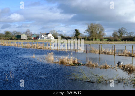 Überschwemmte Felder bei Whixall Moss, Shropshire, Großbritannien Stockfoto