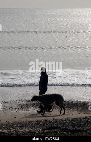 Dorchester, Dorset. 4. März 2019. Ein Mann, der seinen Hund am Strand von Weymouth in der EARY morgen Credit: stuart Hartmut Ost/Alamy leben Nachrichten Stockfoto