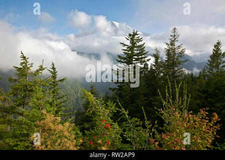 WA 15851-00 ... WASHINGTON - Nebel rollen und teilweise verdecken den Blick auf den Mount Rainier von Ricksecker Punkt in Mount Rainier National Park. Stockfoto