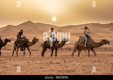 Leitung von Menschen per Kamel unter der heißen Sonne, Merzouga, Marokko Sahara-Erg Chabbi Dünen Reisen Stockfoto