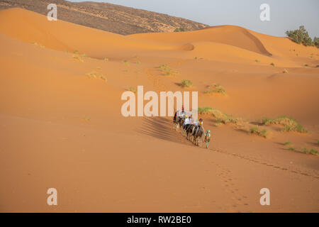 Karawane der Menschen mit dem Kamel durch die Wüste, Merzouga, Marokko Sahara-Erg Chabbi Dünen Reisen Stockfoto