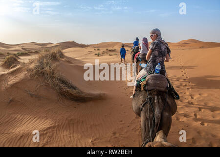 Leitung von Menschen mit dem Kamel unterwegs in der Wüste von Merzouga, Marokko Sahara-Erg Chabbi Dünen Stockfoto