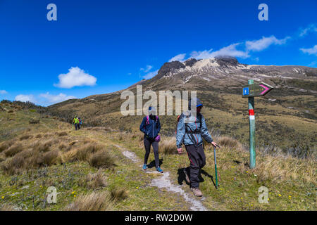 Gruppe der Bergsteiger wandern in einem Pfad, der Pichincha