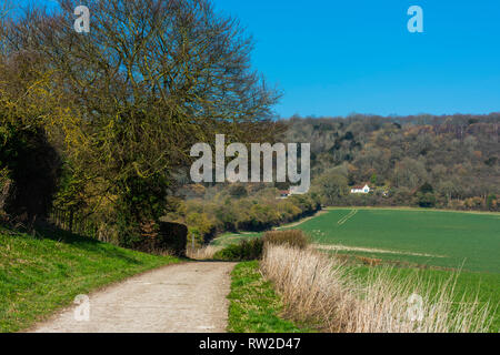 North Downs in Kent, England in der Nähe von trottiscliffe in der Nähe von Maidstone Stockfoto