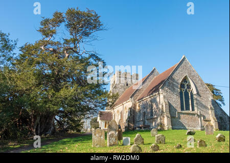 St. George's Kirche, Crowhurst, East Sussex, Großbritannien mit einer berühmten antiken Eibe, angeblich weit über 1000 Jahre alt, links auf dem Bild zu sehen. Stockfoto