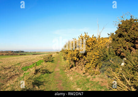 Ein öffentlicher Weg auf einem Rundweg mit Blick über Blakeney Abstiege in North Norfolk bei Blakeney, Norfolk, England, Vereinigtes Königreich, Europa. Stockfoto