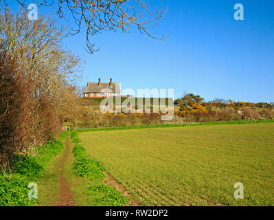 Eine Aussicht auf einen öffentlichen Fußweg und Rundweg durch Ackerland in North Norfolk bei Blakeney, Norfolk, England, Vereinigtes Königreich, Europa. Stockfoto