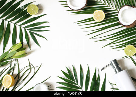 Styled Schönheit frame, Web Banner. Haut Creme, Seife Flasche, Kokos, Zitronen und Limetten Obst auf üppigen Palmblättern. Weißem Hintergrund. Kosmetik, Wellness ein Stockfoto