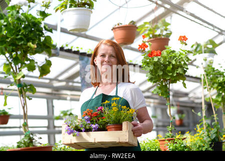Frau in einem Kindergarten arbeiten - Gewächshaus mit bunten Blumen Stockfoto