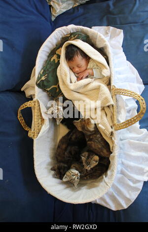 Baby schläft im Babybett mit vielen Kätzchen Stockfoto