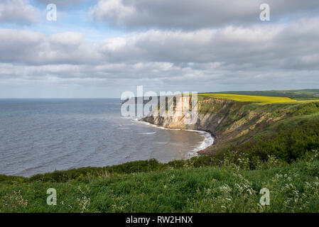 Küste bei Port Mulgrave auf dem Cleveland Way, North Yorkshire, England. Stockfoto