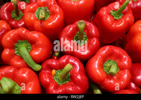 Blick von oben auf die Haufen der Frische reife rote Paprika mit grünem Stiel Stockfoto