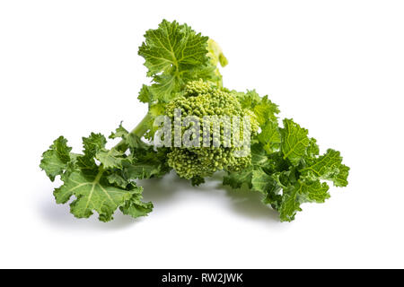 Frische Rapini oder Brokkoli rabe isoliert auf weißem Hintergrund Stockfoto