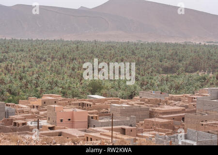 Bereich der Datum Palmen in Oasis wachsenden Neben Dorf in Akka, Marokko Stockfoto