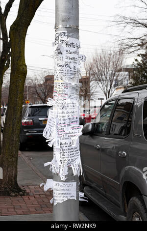 Mehrere spanische Zeichen auf einem Lamp Post Werbung für Wohnungen zu mieten. Wie in Norden Corona, Queens, New York City gesehen Stockfoto