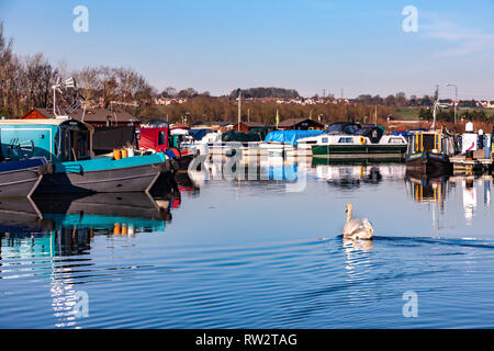 Fluss Nene am Weißen Mühlen Marina auf einem sonnigen klaren Tag mit viel narrowboats in der Marina vor Anker. Stockfoto