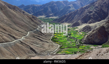 Ein riesiger Berg Tal mit einem grünen Feld entlang dem Bett des Indus River, auf der rechten Seite entlang der Piste gibt es einen Berg Weg zum Pangong See, Ind Stockfoto