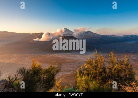 Sonnenaufgang Blick auf den Bromo, Batok und Semeru Vulkane, Tengger Caldera, Ost Java, Indonesien Stockfoto
