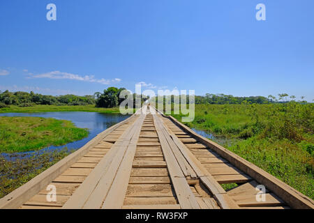 Alte beschädigte Holzbrücke auf der Transpantaneira Feldweg mit Pantanal Feuchtgebiet, Porto Jofre, Mato Grosso, Brasilien Stockfoto