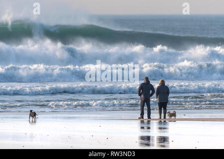 Hund Wanderer und ihre Hunde an der Küste beobachten, große Wellen auf den Fistral in Newquay Cornwall. Stockfoto