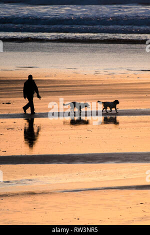 Ein Mann und seine zwei Hunde in Silhouette gehen über den Fistral Bech bei Sonnenuntergang in Newquay Cornwall gesehen. Stockfoto