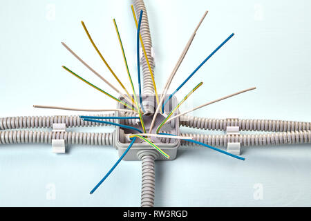Installation für die Auf-Putz-Montage der Verkabelung der elektrischen Anschlusskasten, close-up. Stockfoto