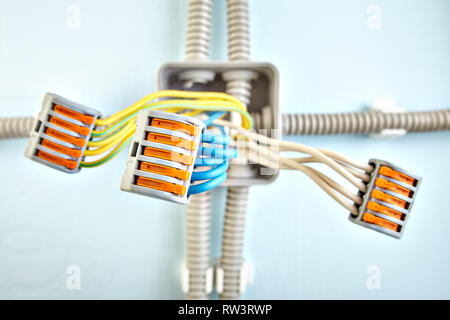 Nahaufnahme der erweiterten Drähte im neuen Haus Anschlussdose Verkabelung mit steckbaren Klemmenleiste angeschlossen. Stockfoto