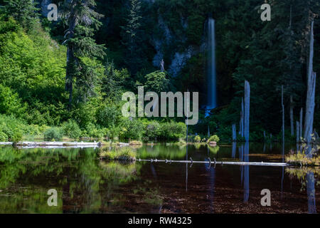 Eine kleine Juni See am Mt St Helens National Monument mit einer geraden Wasserfall im Hintergrund, Langzeitbelichtung, um das Wasser zu glatt Stockfoto