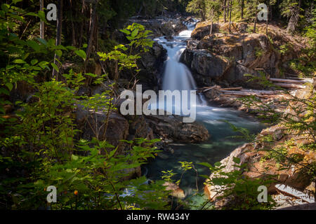 Die Ohanapecosh River Kaskaden Silber fällt am Mount Rainier National Park, Langzeitbelichtung, das Wasser glatt zu machen, einen weiten Blick durch Laub gerahmt Stockfoto