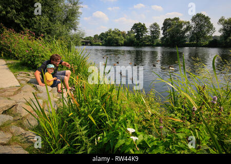 Essen, Nordrhein-Westfalen, Ruhrgebiet, Deutschland, Ruhr Promenade in der Steele Bezirk, Vater und Sohn sitzen am Ufer der Ruhr und Enten füttern, Stockfoto