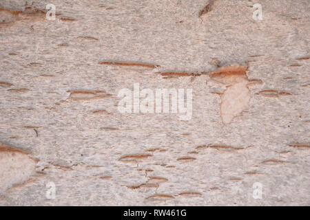 Hintergrund und Beschaffenheit der Wand. Alte Sperrholzplatten, die abgerissen wurden. Stockfoto