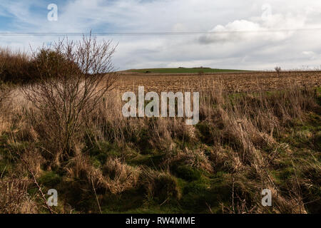 Blick über Harrow Hill, Patching, West Sussex Stockfoto