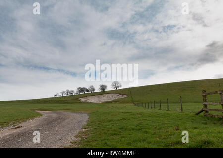 Blick über Harrow Hill, Patching, West Sussex Stockfoto