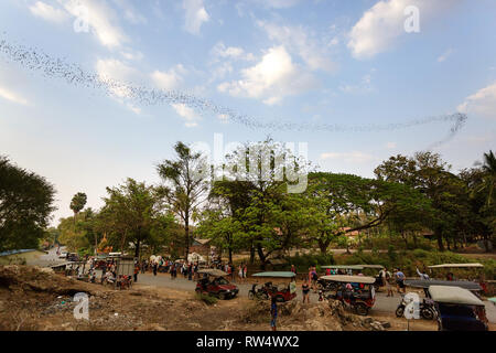 Touristen beobachten Fledermäuse fliegen aus dem Bat cave, in Battambang, Kambodscha Stockfoto