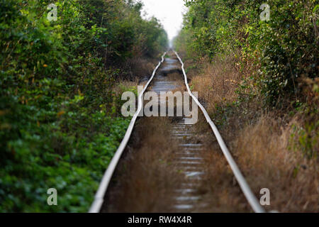 Der Bambus zug Bahn, in der Nähe von Battambang im Westen Kambodschas Stockfoto