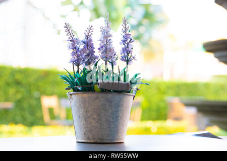 Schöner Frühling Blumen Lilie des Tales und lila Blumen auf Woodward Holz- Hintergrund. Stockfoto