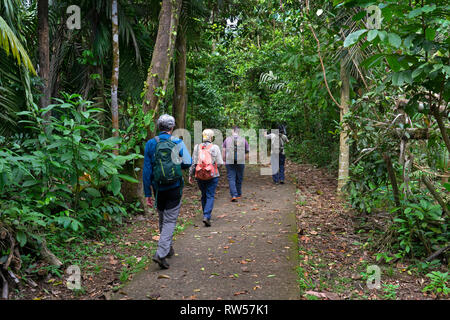 Touristen mit Führung im La Seva biologische Station, tropischen Regenwald, Sarapiqui, Costa Rica, Mittelamerika Stockfoto