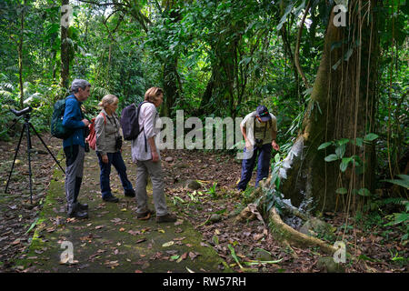 Touristen mit Führung im La Seva biologische Station, tropischen Regenwald, Sarapiqui, Costa Rica, Mittelamerika Stockfoto