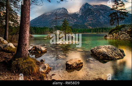 Entspannen im Mystic Mountain Lake mit Baum auf Stein beim Sonnenuntergang. Hintersee, Ramsau, Bayern Deutschland Stockfoto
