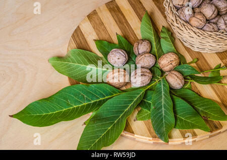 Schönen Nussbaum Blätter mit Muttern und einen Weidenkorb mit Nüssen gefüllt auf einem gestreiften Küche aus Holz board Stockfoto