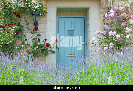Helle blaue Holztüren in einem alten traditionellen Englischen lime Stone Cottage durch Klettern roten und rosa Rosen in voller Blüte umgeben, mit Blüte lila La Stockfoto