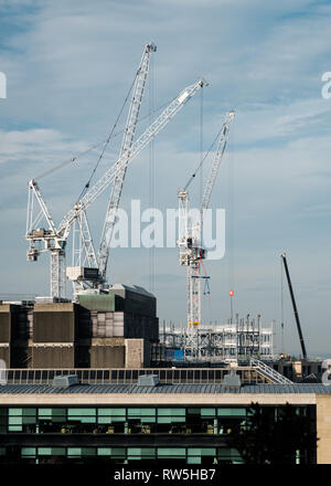 Große weiße Baukräne über eine Baustelle in Edinburgh an einem sonnigen Tag, Schottland Stockfoto