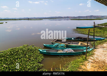 La Segua Feuchtgebiet, wichtige Ramsar in der Provinz Manabi Stockfoto