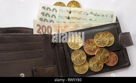 Tschechische Münze auf den verschiedenen tschechischen Banknoten Geld mit Lederetui. Hundert Kronen, zwei hundert Kronen, zwanzig Kronen Münzen, 10 Stockfoto