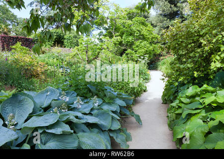 Kies weg durch die Blumen, Sträucher und Bäume in einem üppigen Englischen Garten an einem sonnigen Sommertag. Stockfoto