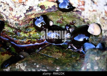 Wunderschöne Natur Stockfoto