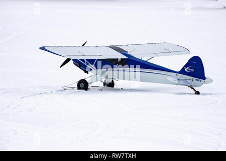 Eine experimentelle Carbon Cub Modell der Piper Cub Flugzeug auf Ski auf den Schnee und das Eis auf dem See angenehm, NY USA geparkt Stockfoto