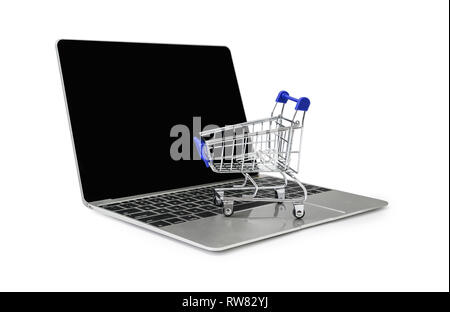 Eine Katze auf einem Laptop Tastatur auf weißem Hintergrund mit Freistellungspfaden. Konzepte über das On-line-Einkaufen Stockfoto