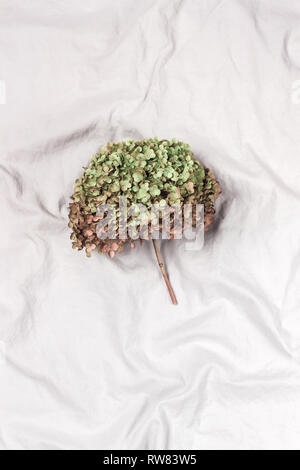 Gardenia Blumen auf eine textile Oberfläche. Einfache natürliche Schönheit. Stockfoto